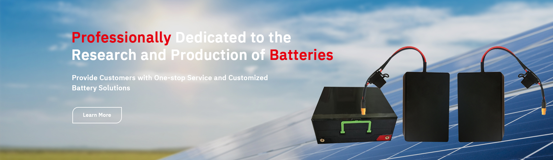 Lead acid lithium battery